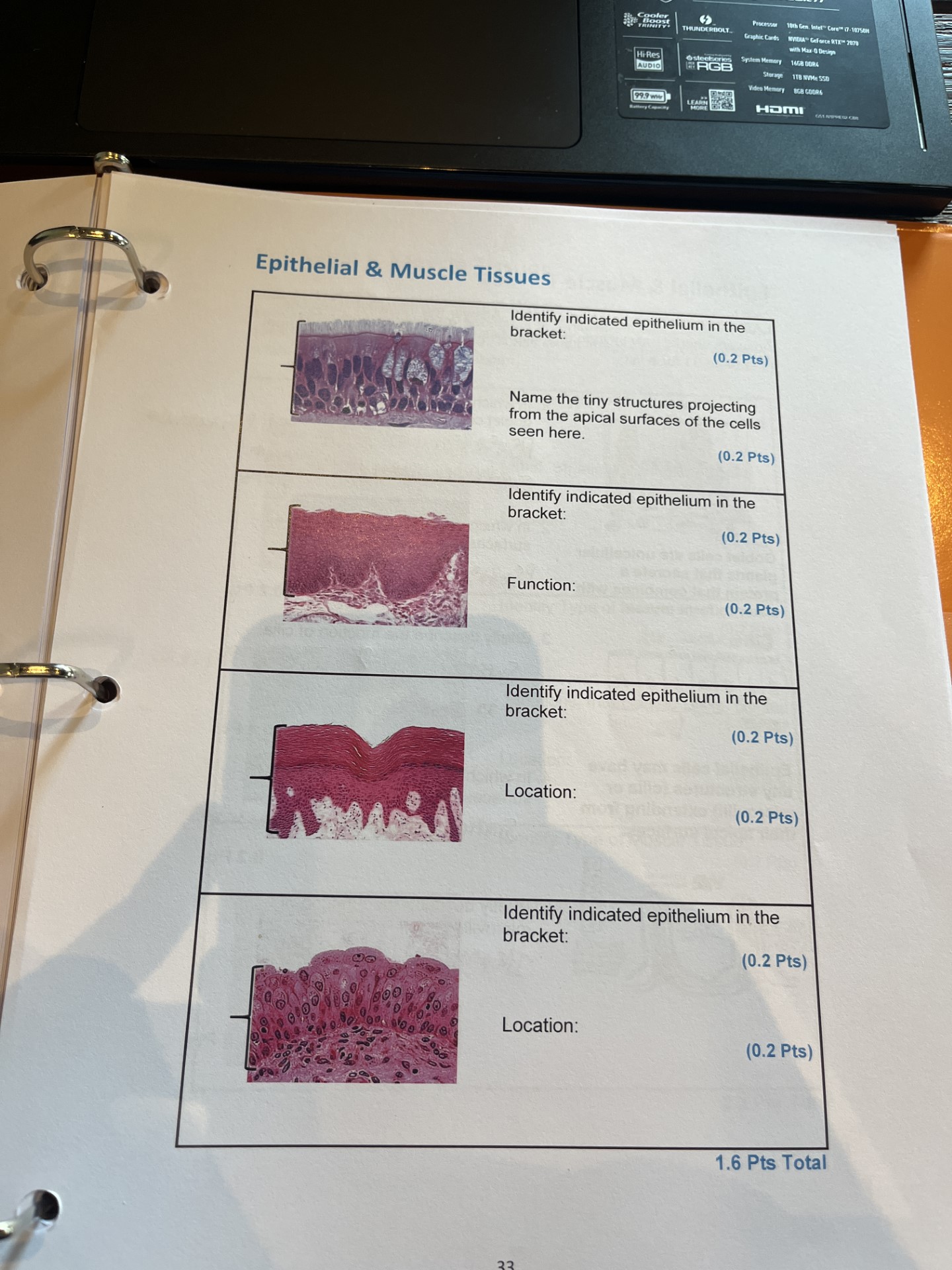 Solved Epithelial \& Muscle Tissues 1.6 Pts Total | Chegg.com