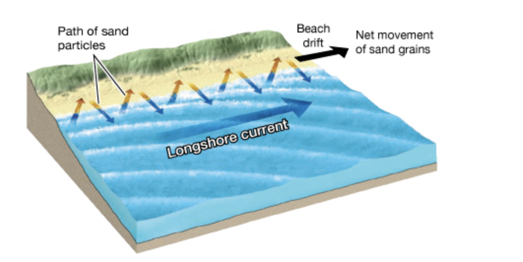 Solved: Part B - Stabilizing The Shore In General, Coastal... | Chegg.com