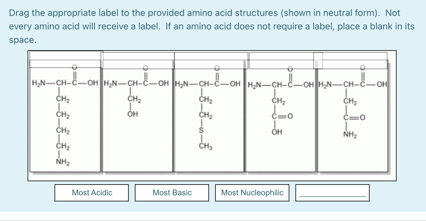 Solved Drag the appropriate label to the provided amino acid | Chegg.com
