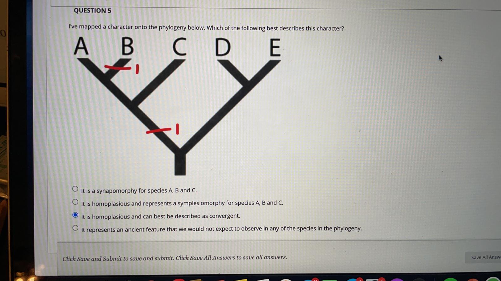 Solved QUESTION 5 I've Mapped A Character Onto The Phylogeny | Chegg.com