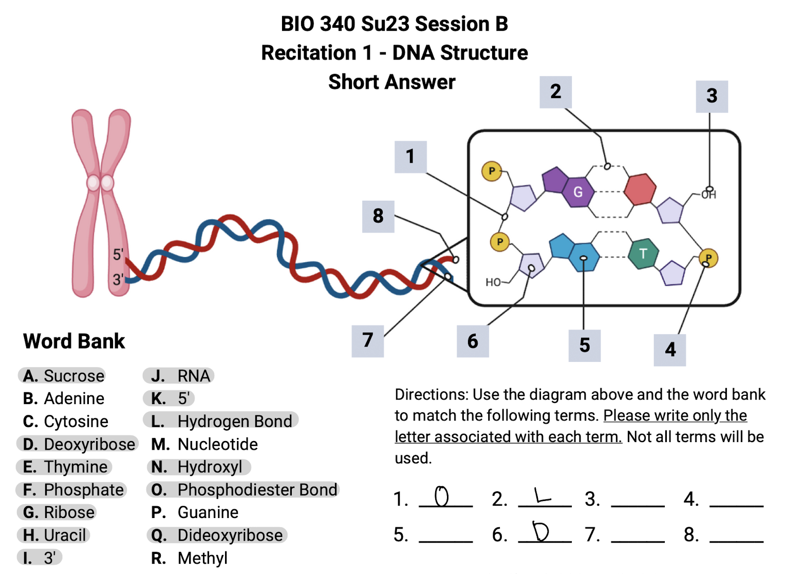 Solved BIO 340 Su23 Session B Bond e liester Bond | Chegg.com
