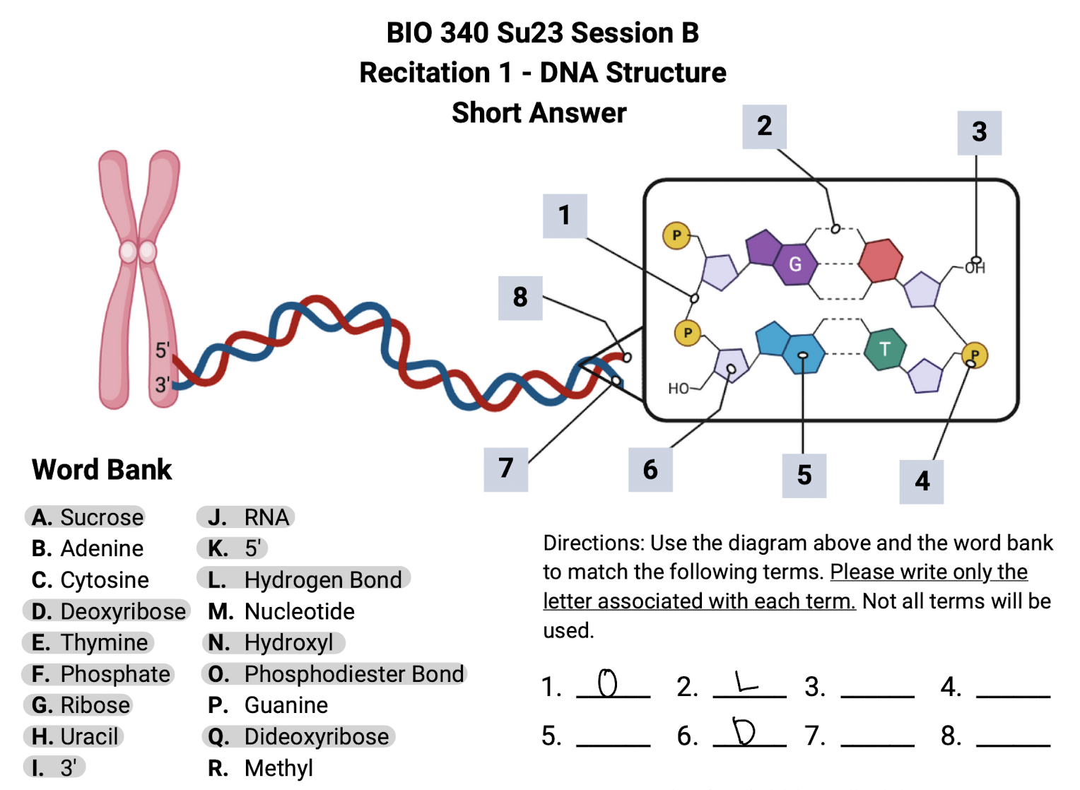 Solved BIO 340 Su23 Session B Bond E Liester Bond | Chegg.com