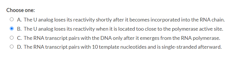 Choose one:
A. The \( U \) analog loses its reactivity shortly after it becomes incorporated into the RNA chain.
B. The \( U