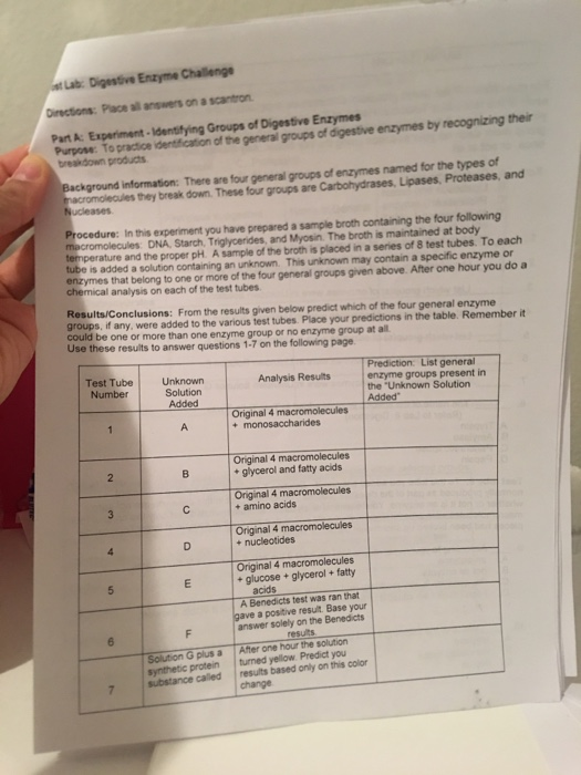 Solved st Lab Digestive Enzyme Challenge Directions Place