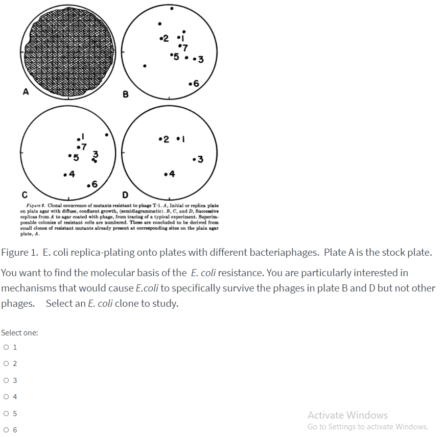 Solved If your replicaplate does not have discrete