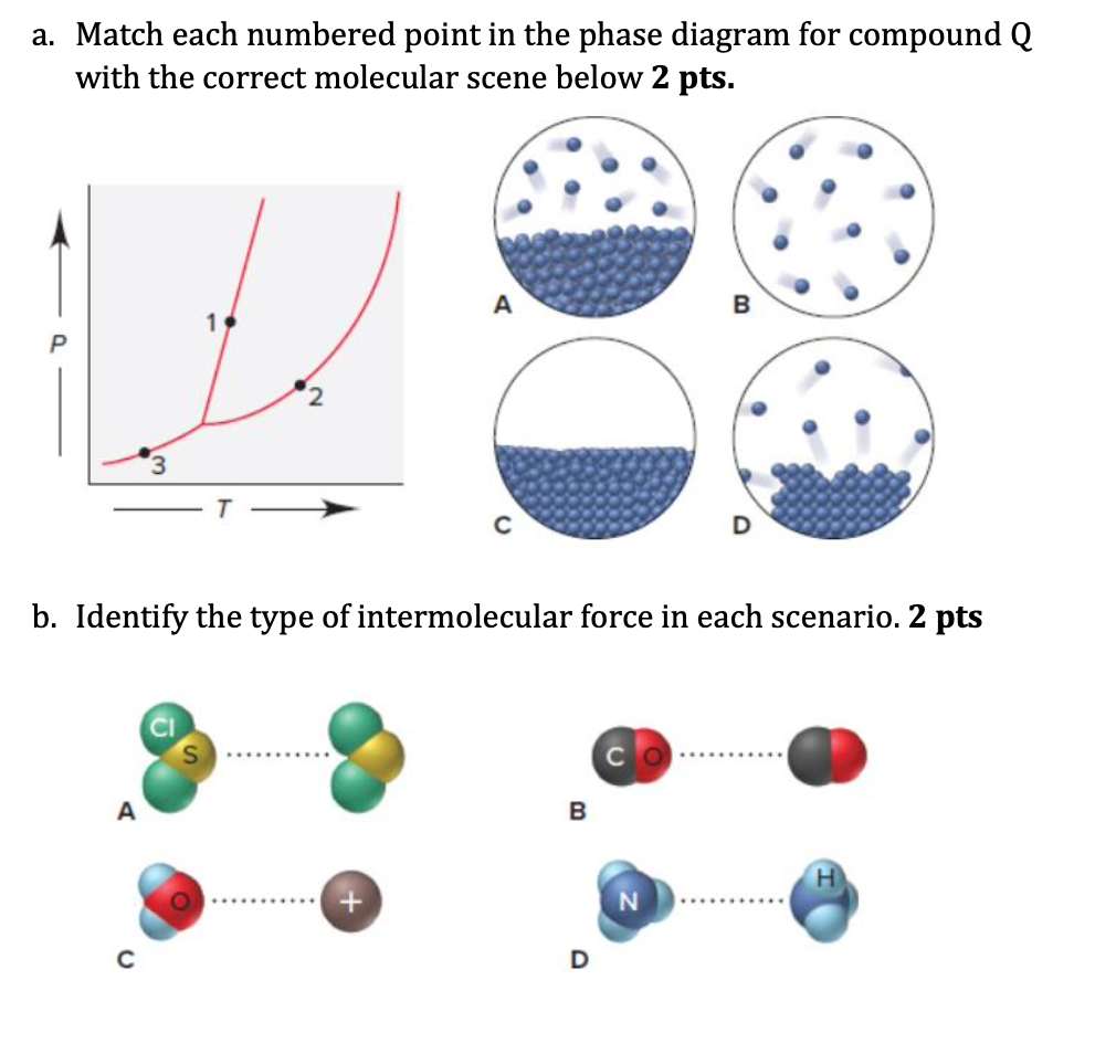 Solved a. Match each numbered point in the phase diagram for | Chegg.com