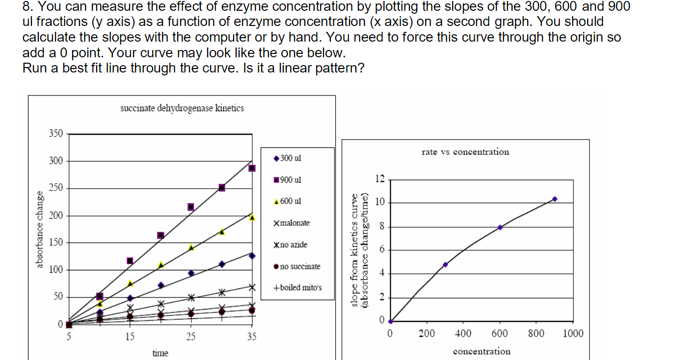 Solved 8. You can measure the effect of enzyme concentration | Chegg.com