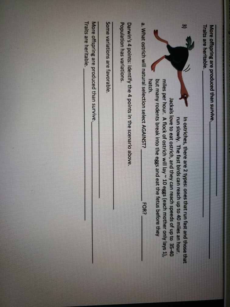 Solved Name Lab Section Assignment 13 Natural Selection Chegg Solved Name Lab Section Assignment 13 Natural Selection Chegg