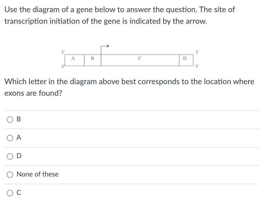 Solved Use The Diagram Of A Gene Below To Answer The Chegg Com
