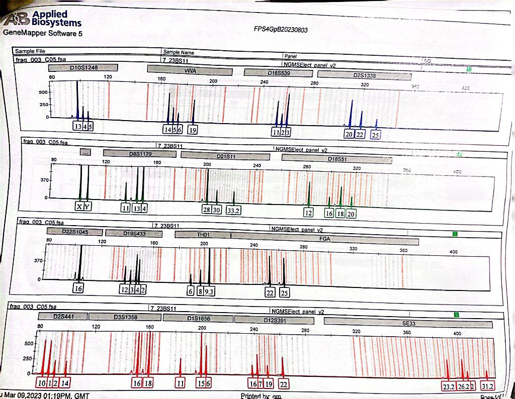 I did a DNA analysis using real-time PCR and the | Chegg.com