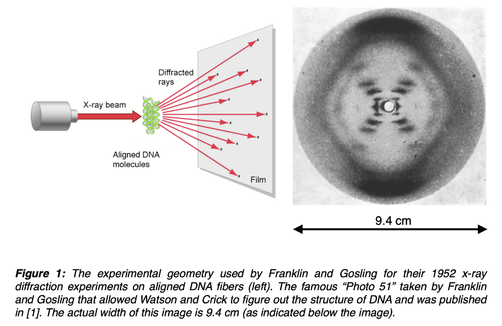 Franklin and Gosling used x-rays of wavelength λ = | Chegg.com