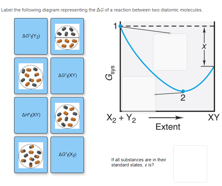 Solved Label the following diagram representing the AG of a | Chegg.com