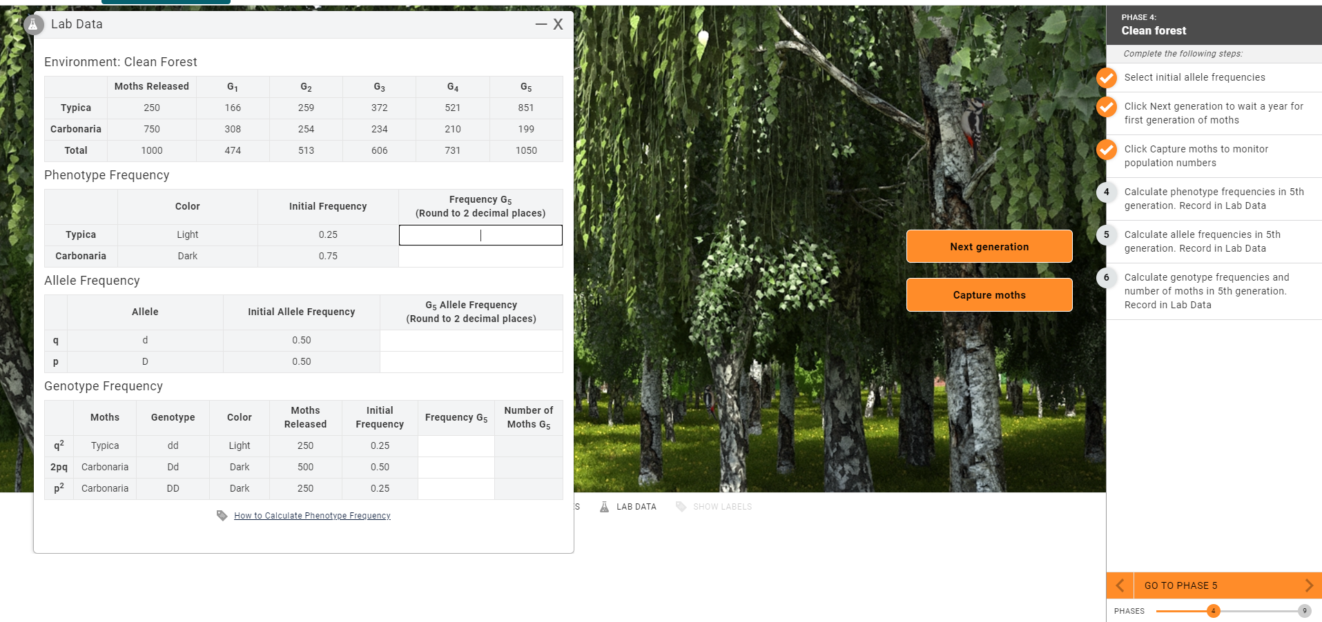 Solved Lab Data X PHASE 4 Clean forest Complete the
