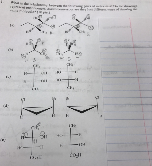 Solved What is the relationship between the following pairs | Chegg.com