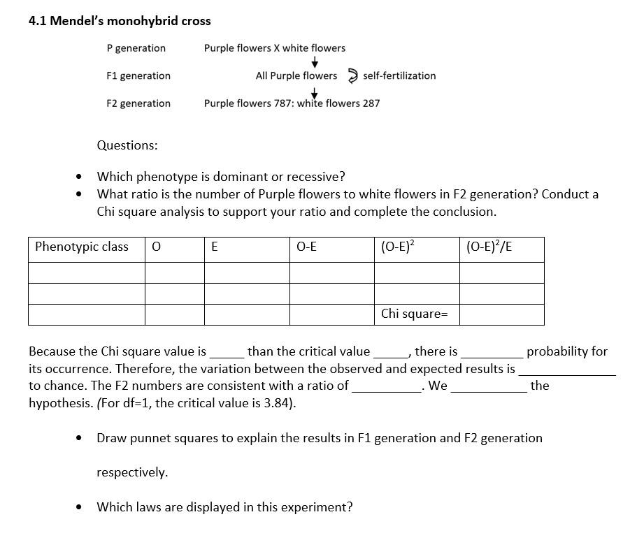 Monohybrid Cross F2 Generation