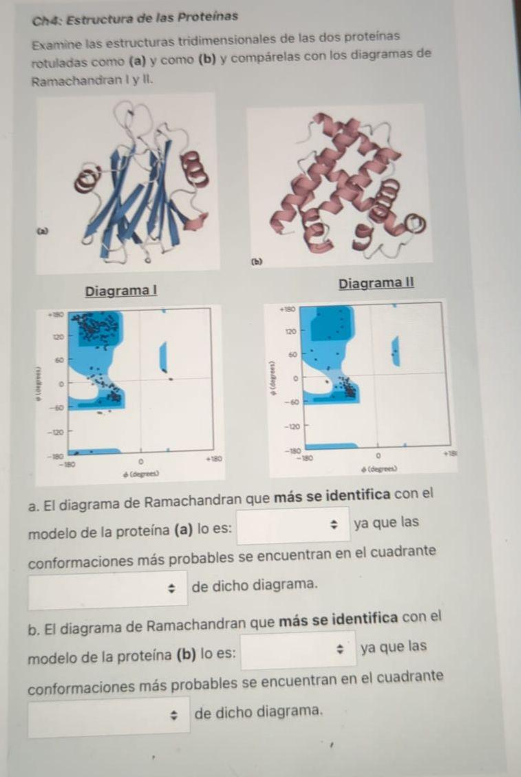 Ch4: Estructura de las Proteinas Examine las estructuras tridimensionales de las dos proteinas rotuladas como (a) y como (b)