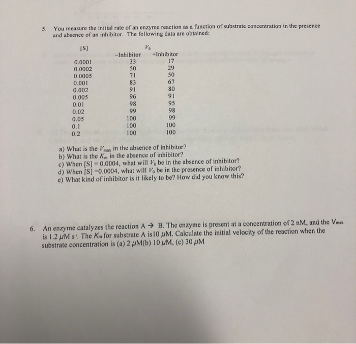 Solved You measure the initial rate of an enzyme reaction as | Chegg.com