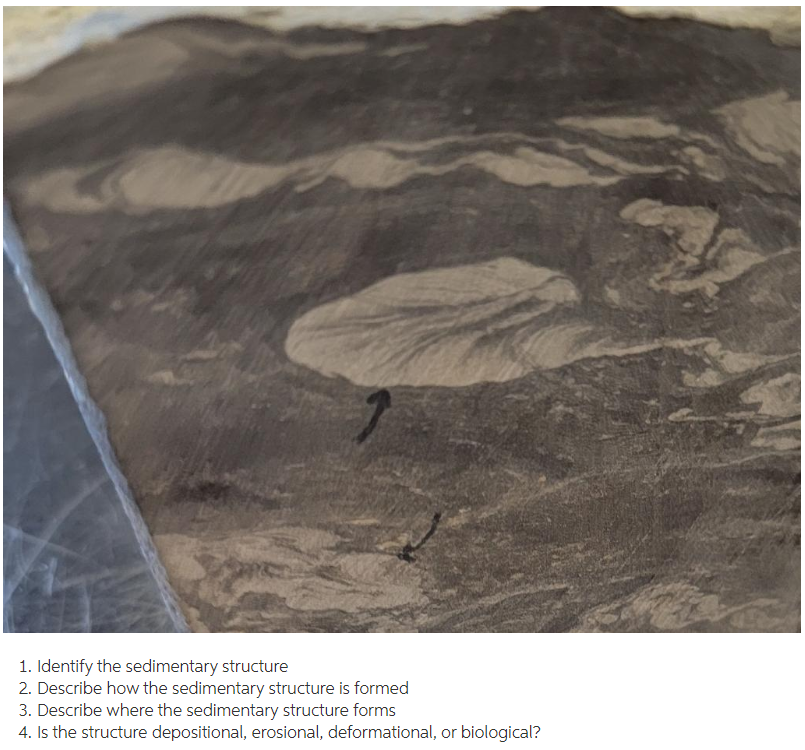12 1. Identify the sedimentary structure 2. Describe | Chegg.com