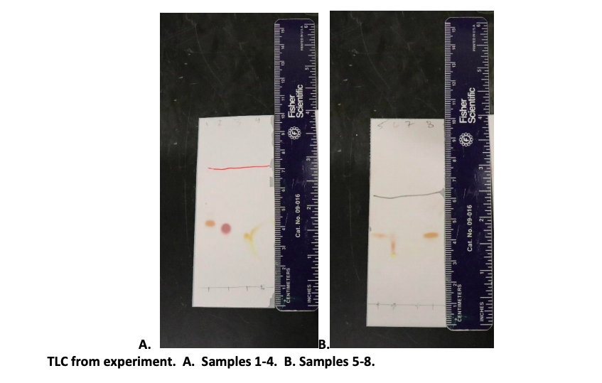 Solved Which colors were observed after dipping your TLC