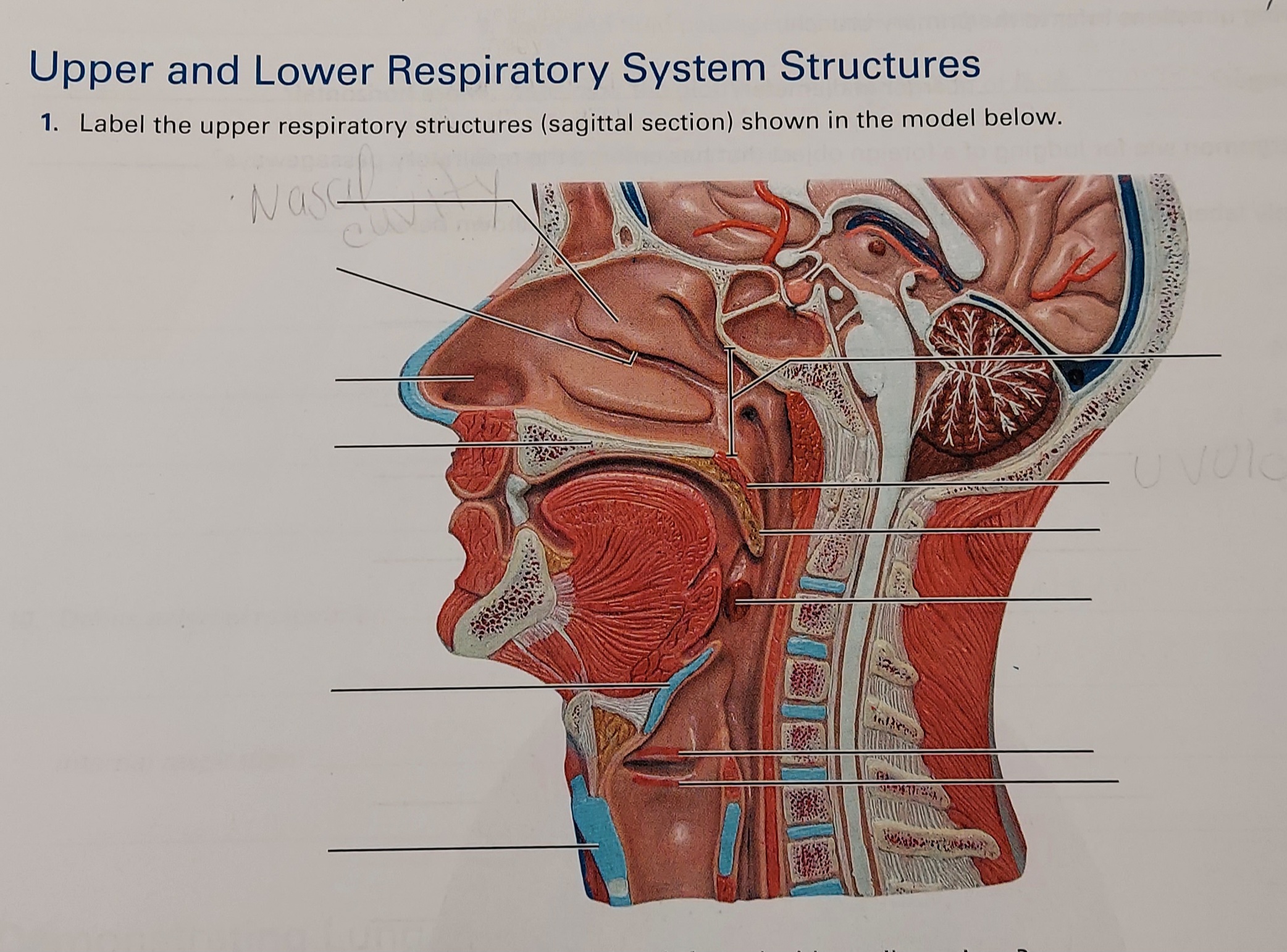 student submitted image, transcription available below