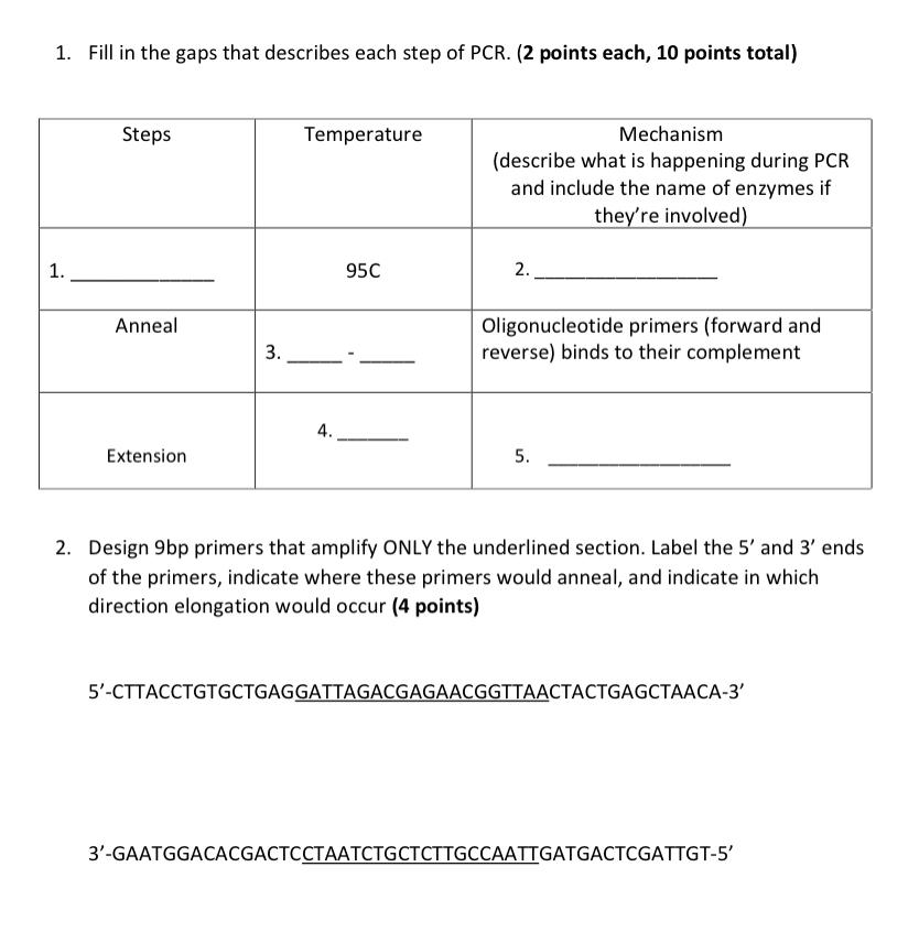 Solved 1. Fill in the gaps that describes each step of PCR. | Chegg.com