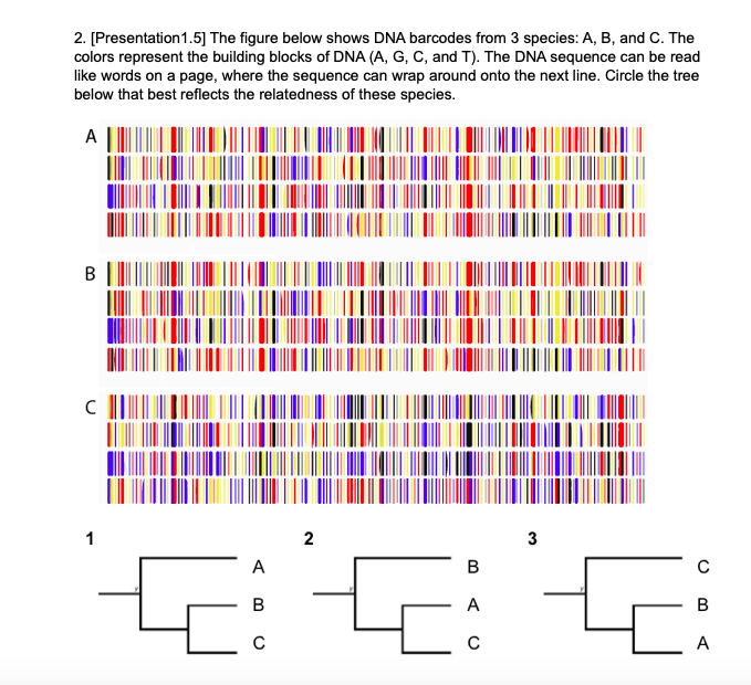 2. [Presentation 1.5] The Figure Below Shows DNA | Chegg.com