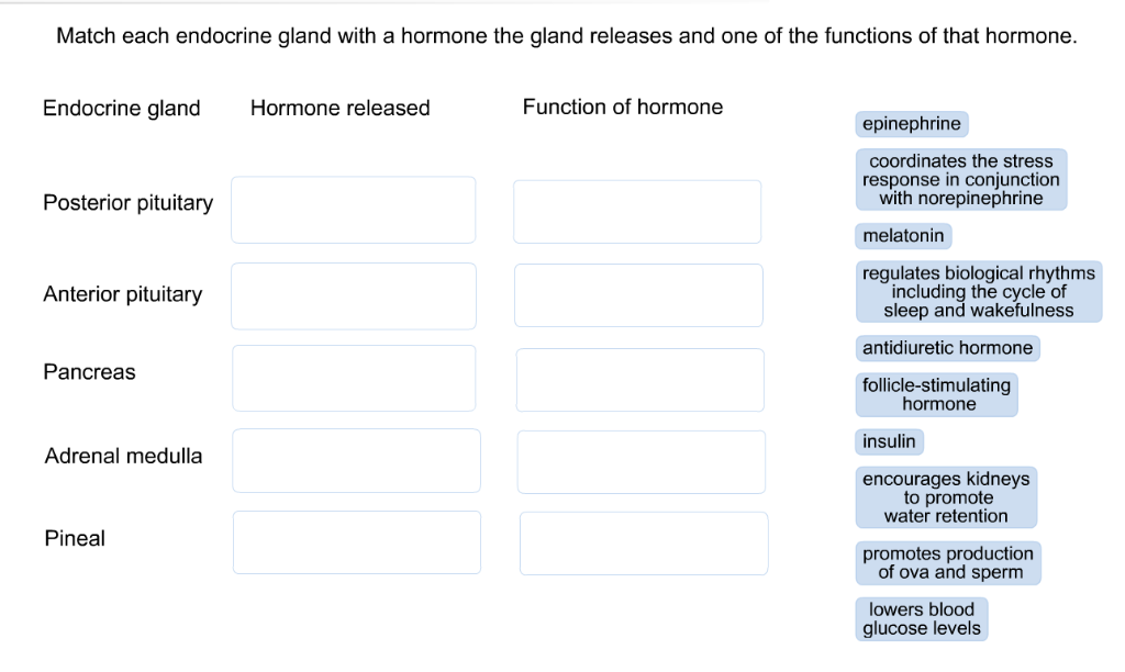 Solved Match Each Endocrine Gland With A Hormone The Gland