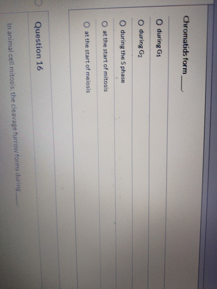 Solved Chromatids Form O During G1 O During G2 O During T Chegg Com