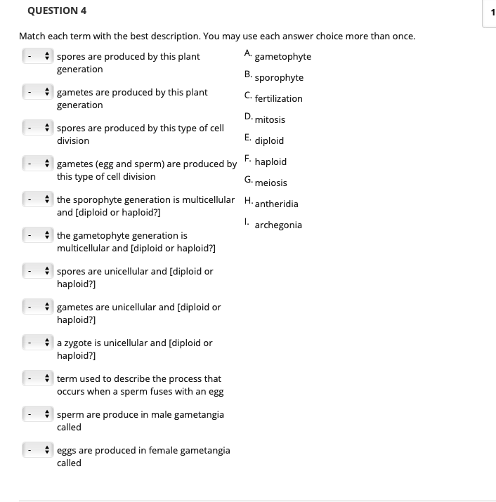 Solved QUESTION 4 Match each term with the best description. | Chegg.com