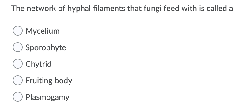 Solved The network of hyphal filaments that fungi feed with | Chegg.com