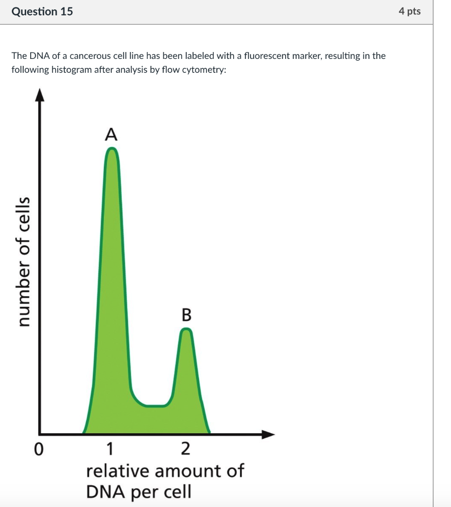 Solved Question 7 4 pts You are a researcher interested in | Chegg.com