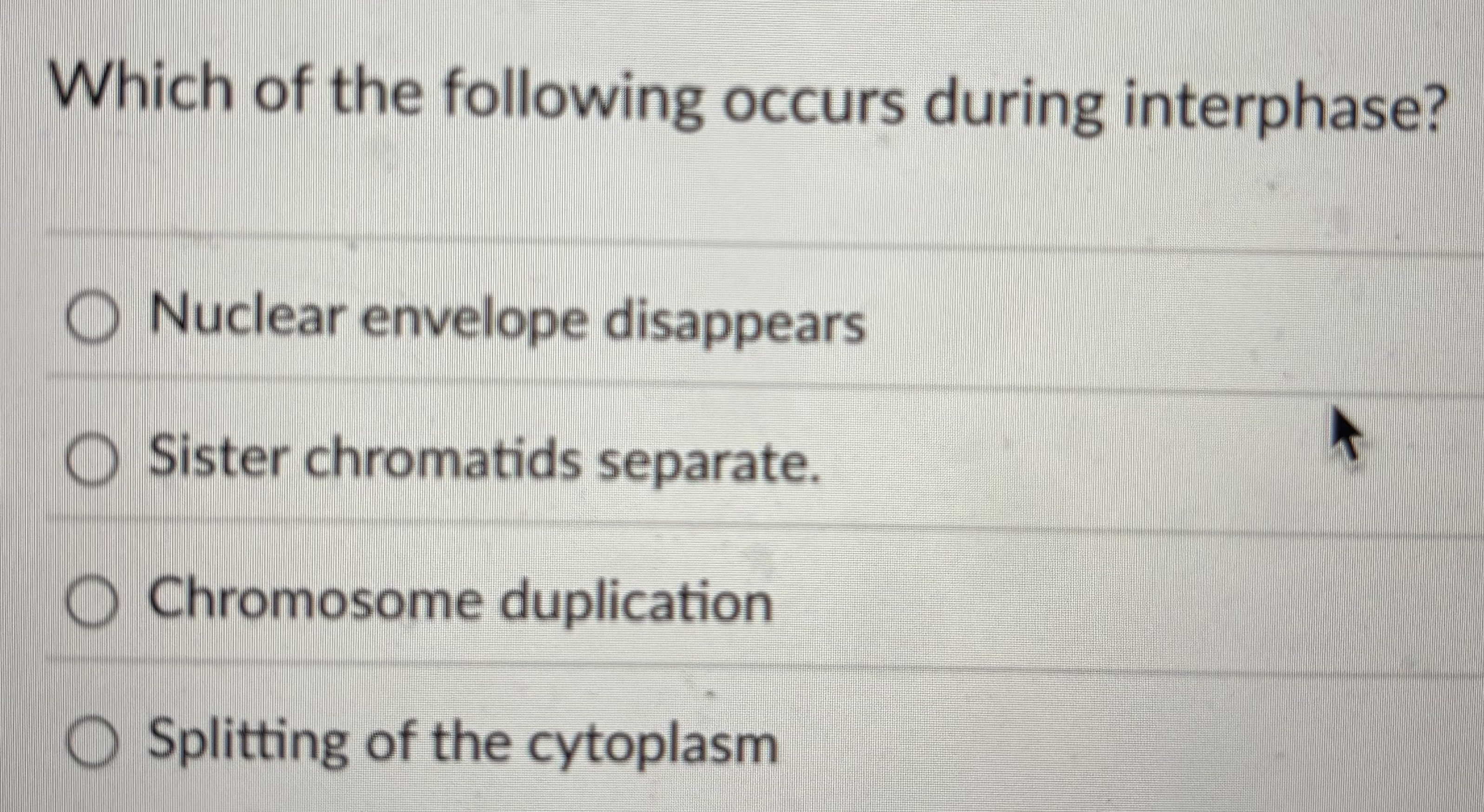 Solved Which of the following occurs during | Chegg.com