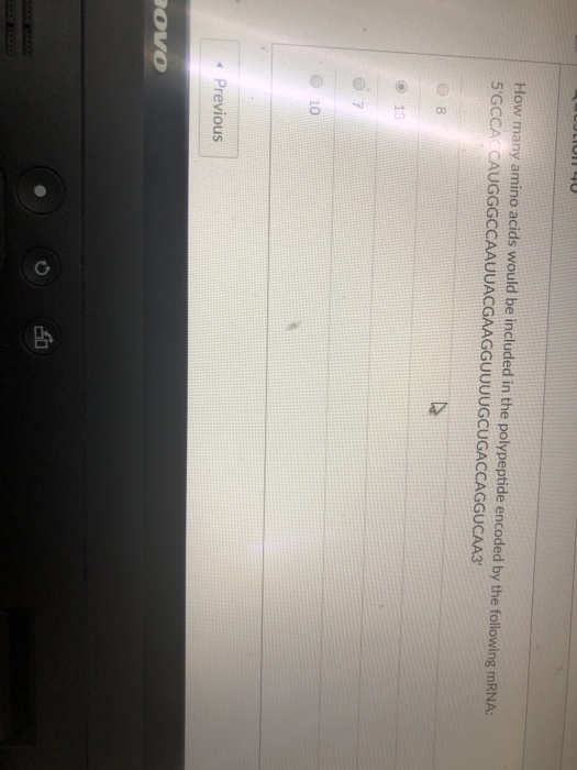 Solved How many amino acids would be included in the | Chegg.com