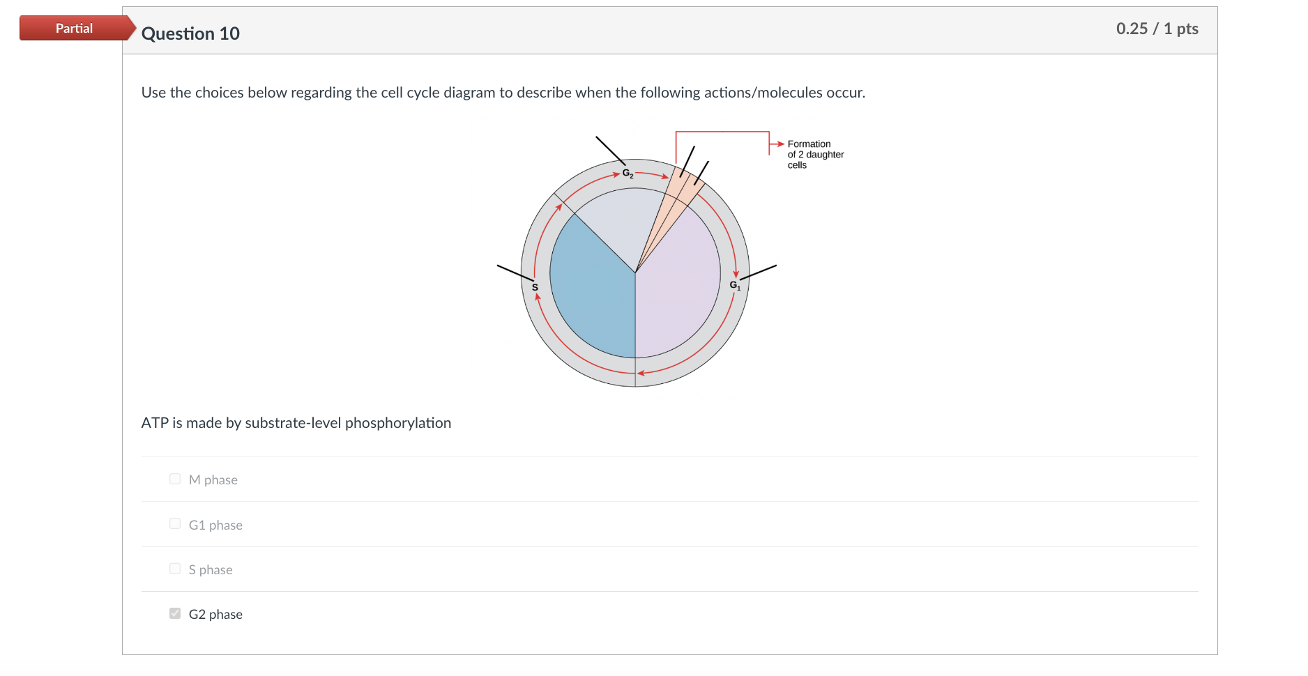 Solved Use the choices below regarding the cell cycle | Chegg.com