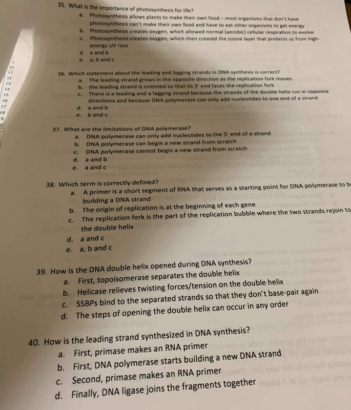 Solved 35 What Is The Importance Of Photosynthesis For Chegg