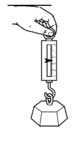 spring scale drawing