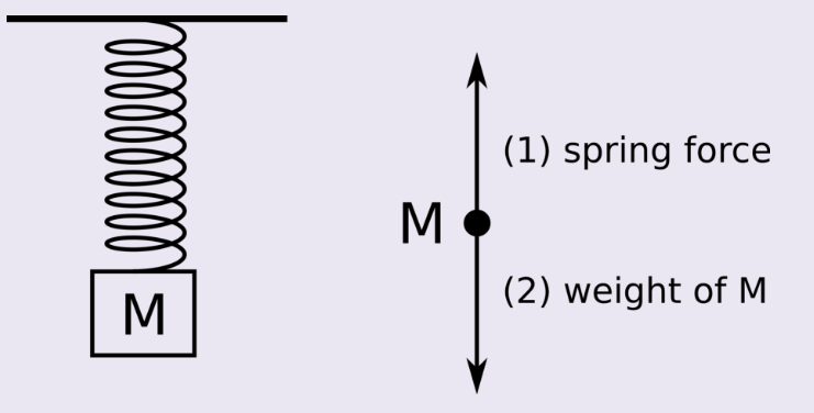 Solved Consider a mass of M = 0.5 kg hanging from a spring | Chegg.com