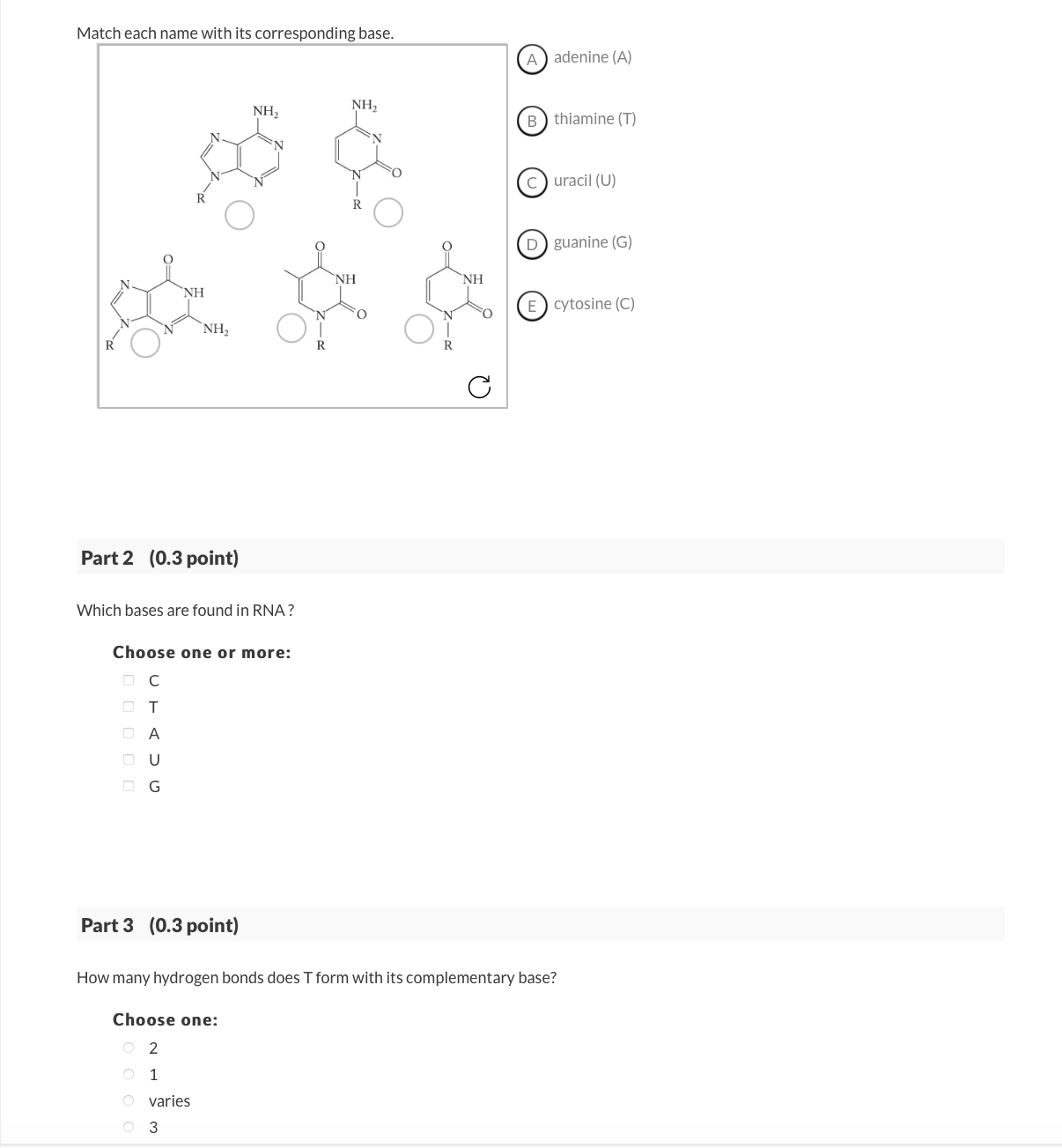 Solved Match each name with its corresponding base. adenine