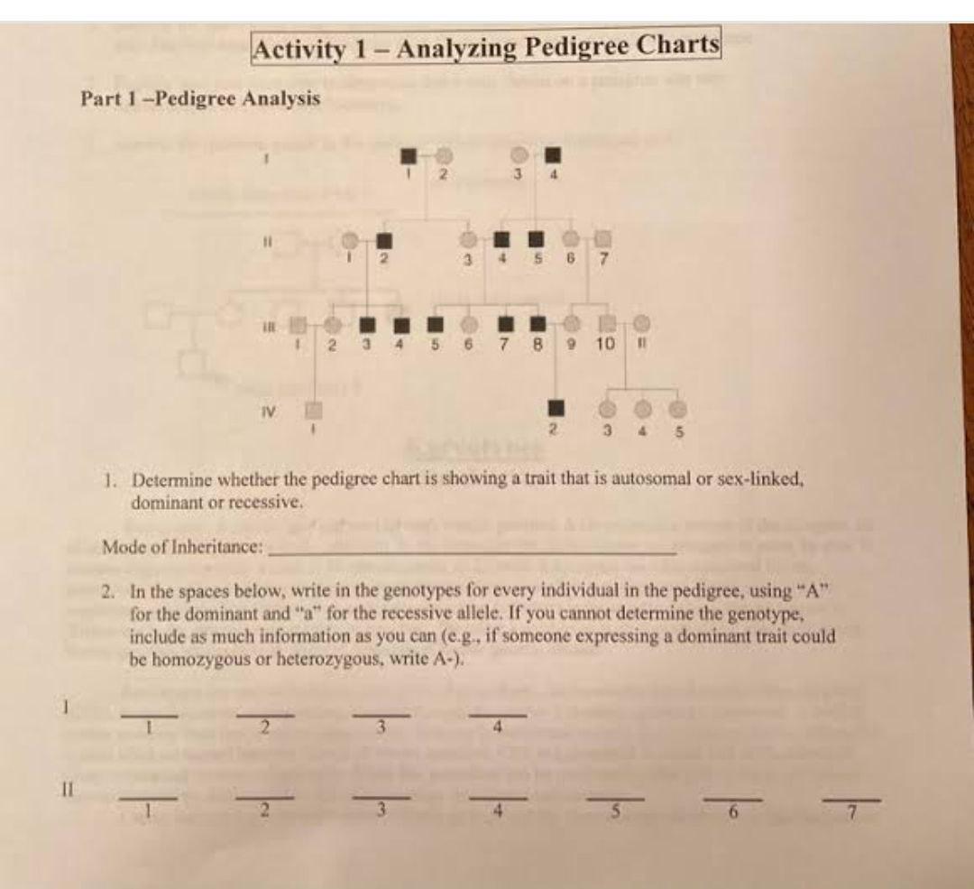 Solved Activity 1 - Analyzing Pedigree Charts Part 1 - | Chegg.com