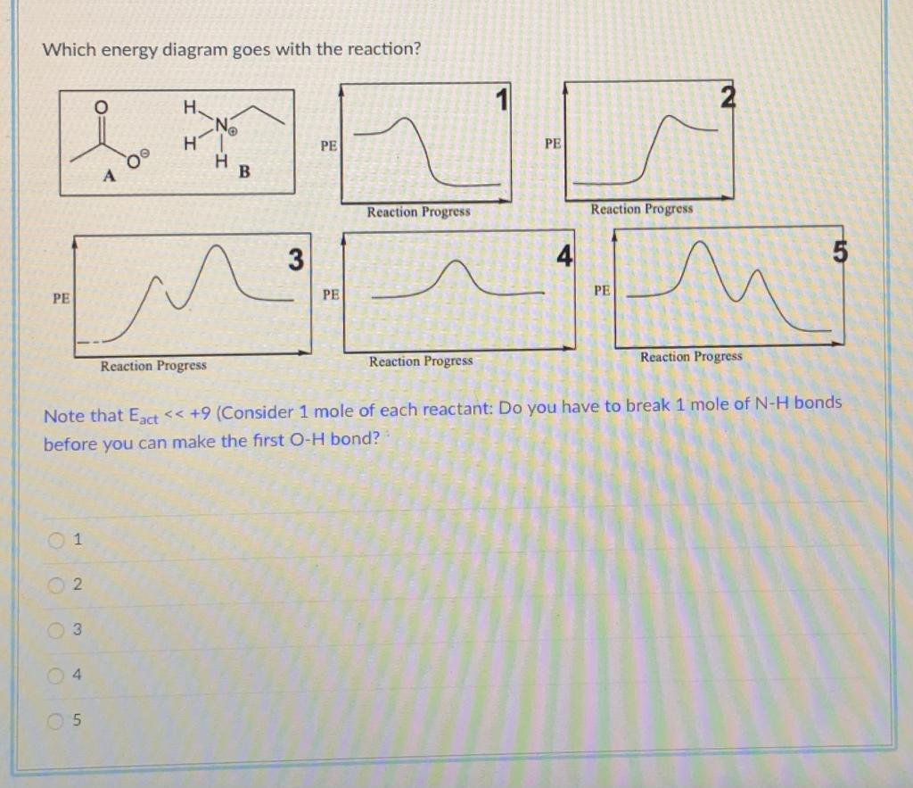 Which Of The Indicated Hydrogen Atoms Is Most Read Chegg Com