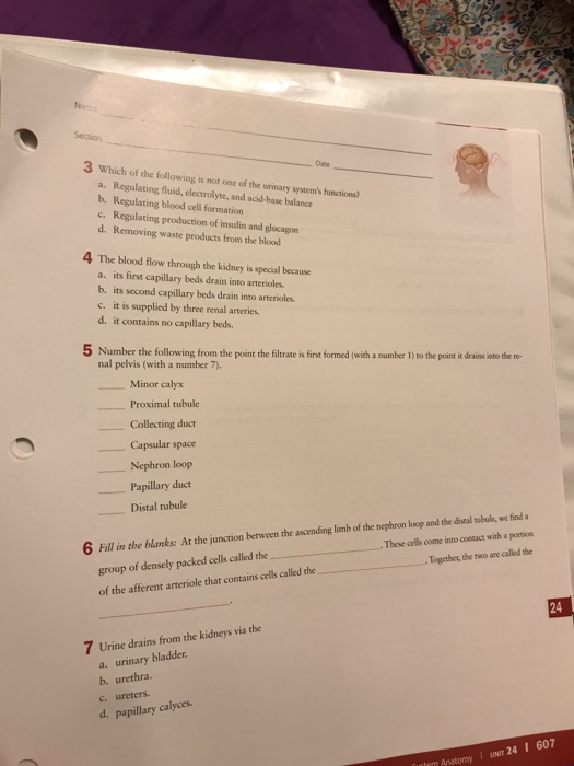 Solved Section 3 Which of the following is Hot one of the | Chegg.com