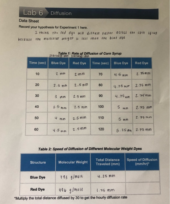 lab 6 diffusion experiment 2 answers