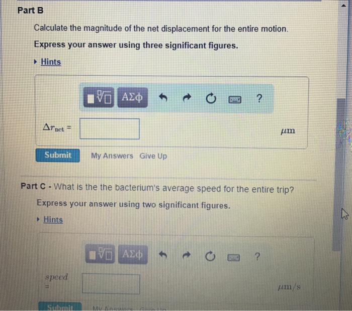 Solved The bacterium Escherichia coli (or E. coll) is a | Chegg.com