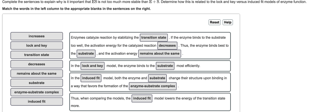 solved-complete-the-sentences-to-explain-why-is-it-important-chegg