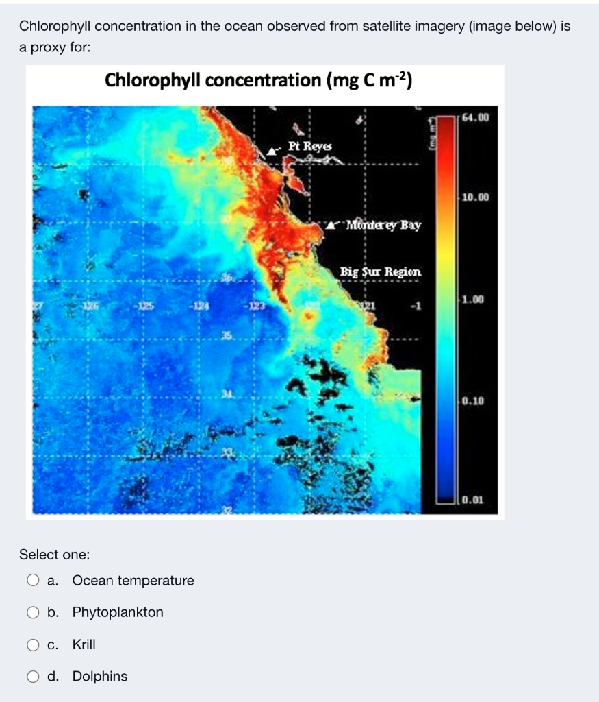 Solved Chlorophyll concentration in the ocean observed from | Chegg.com