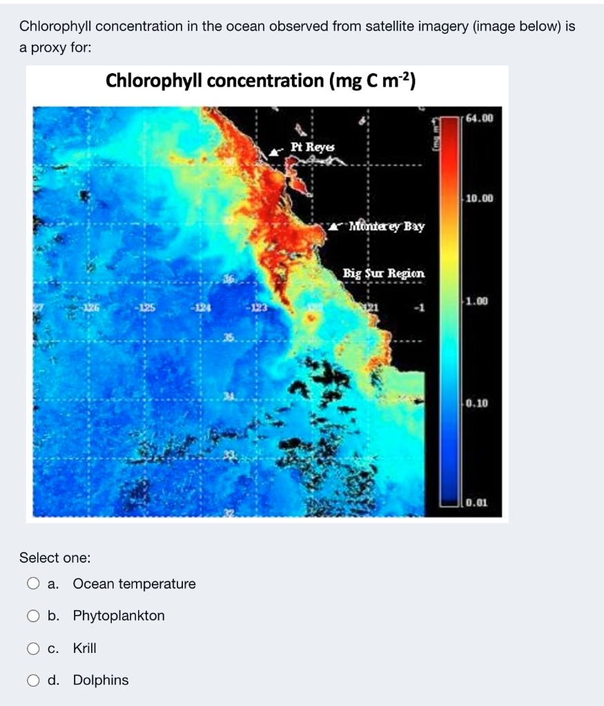 Chlorophyll concentration in the ocean observed from satellite imagery (image below) is
a proxy for:
Chlorophyll concentratio