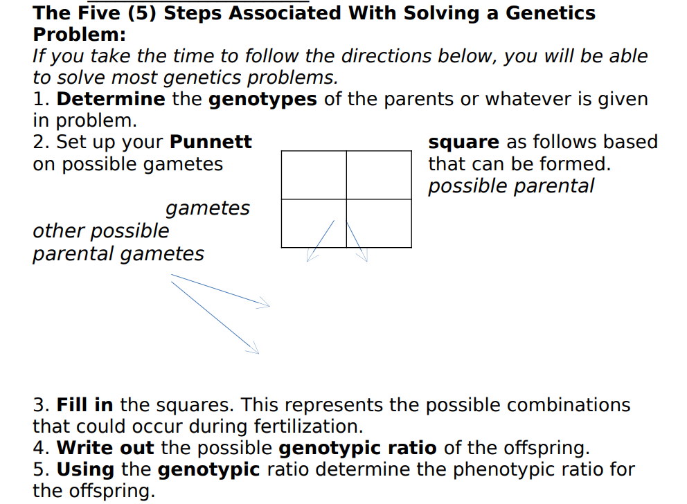 enrichment activity genetics problem solving chapter 26 answers