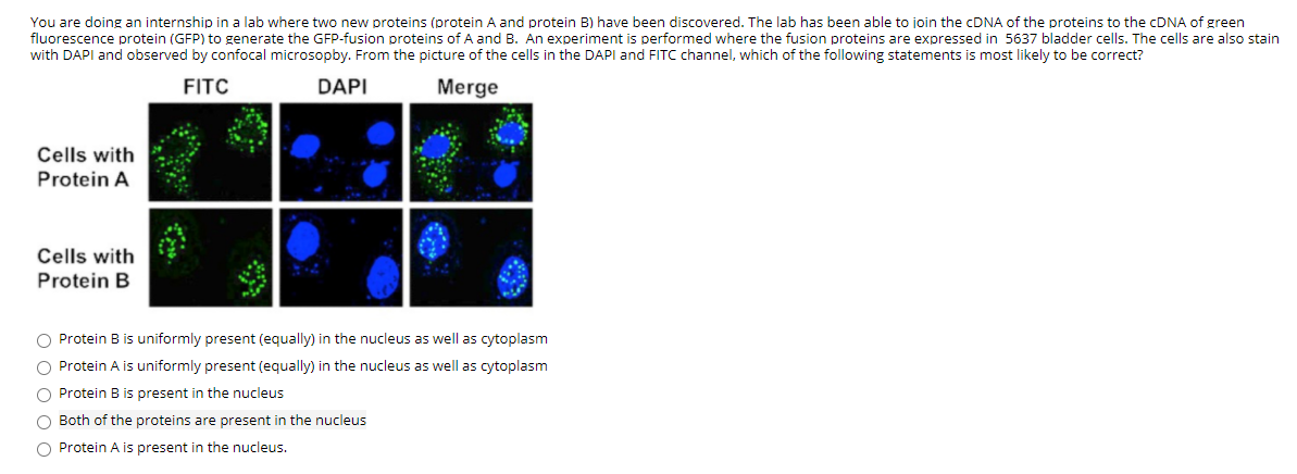 Solved You are doing an internship in a lab where two new | Chegg.com