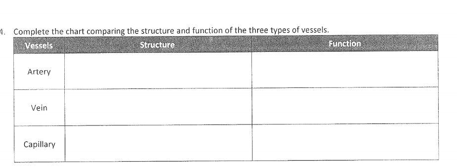 4 Complete The Chart Comparing The Structure And Chegg Com