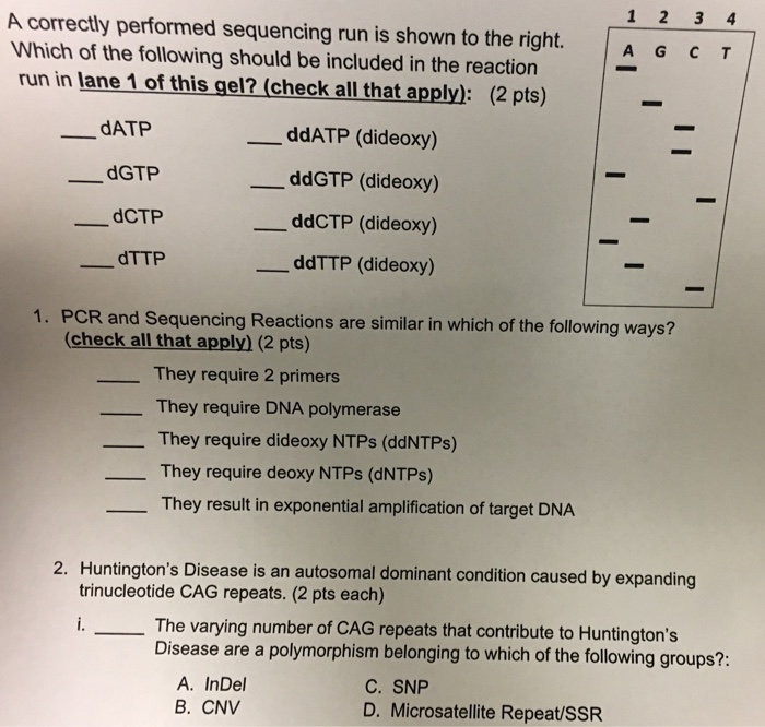 Solved A correctly performed sequencing run is shown to the
